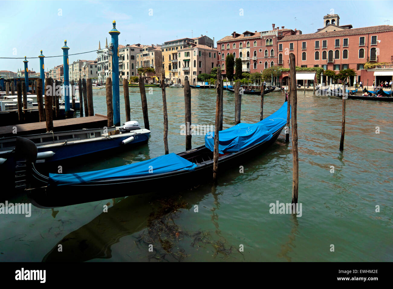 Venezia- Canal Grande (Grand Canal) Gondolas Stock Photo