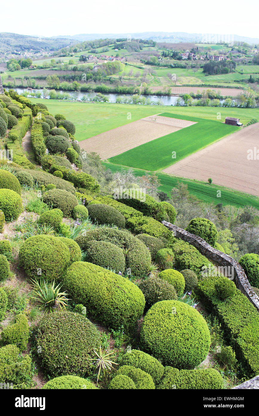 View looking down the side of the cliffs, with clipped topiary boxwood hedges, in gardens of Chateau du Marquessac,  Dordogne Stock Photo