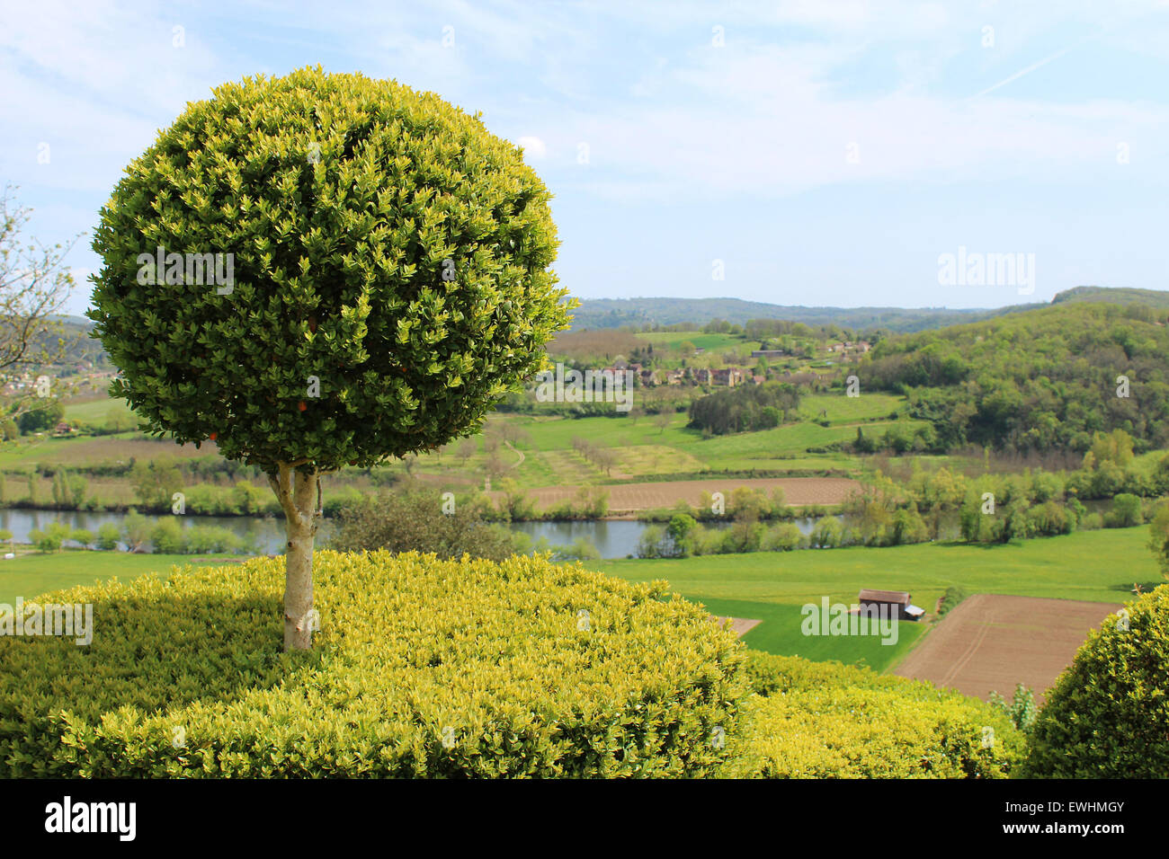 Fine French example of boxwood topiary, finely clipped by hand by the gardeners of the Chateau of Marqueyssac Stock Photo