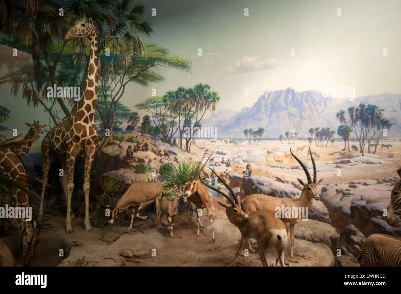 American Museum of Natural History. Central Park West and 79th Street