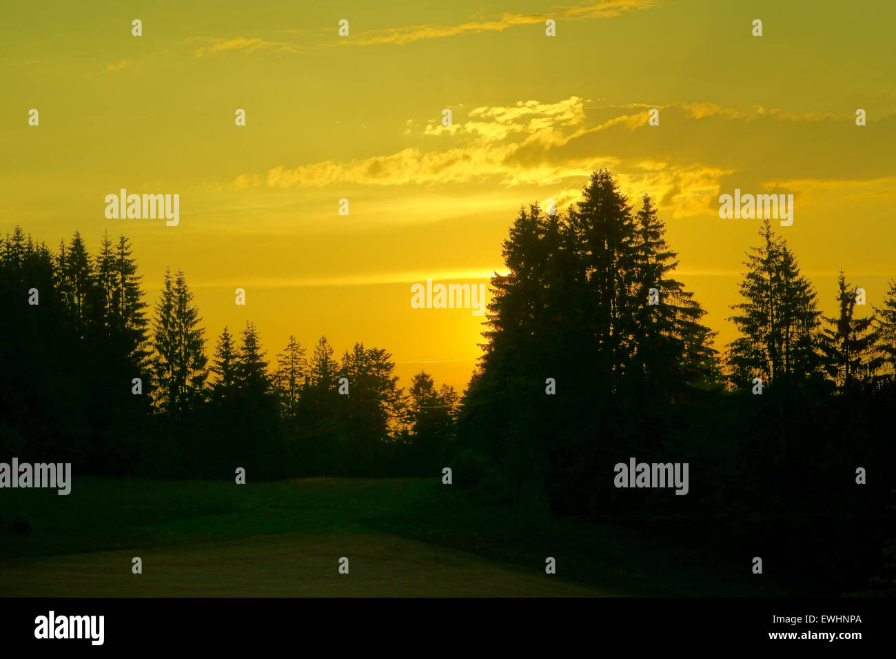 Beautiful sunset with golden color in the Black Forest Stock Photo - Alamy