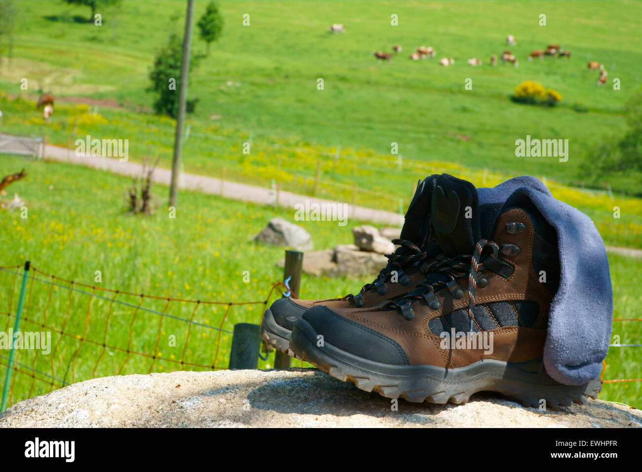Brown leather Hiking boots with socks on a rock in front of a summer