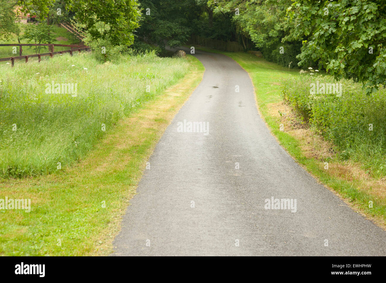 Country lane in  early summer grass lined and tree foliage with wooden rail fence to one side Stock Photo