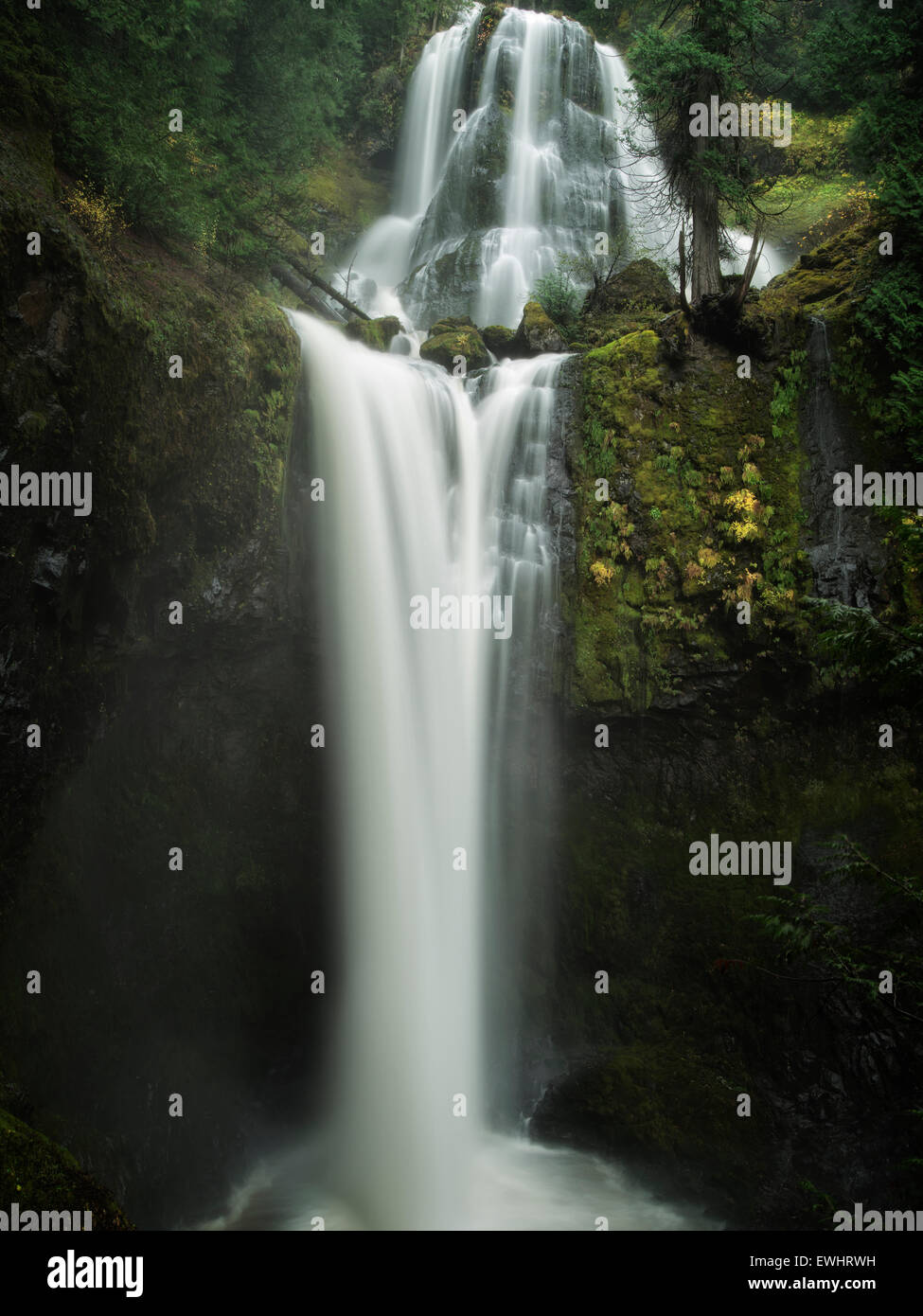 Falls Creek Falls, Washington. Stock Photo