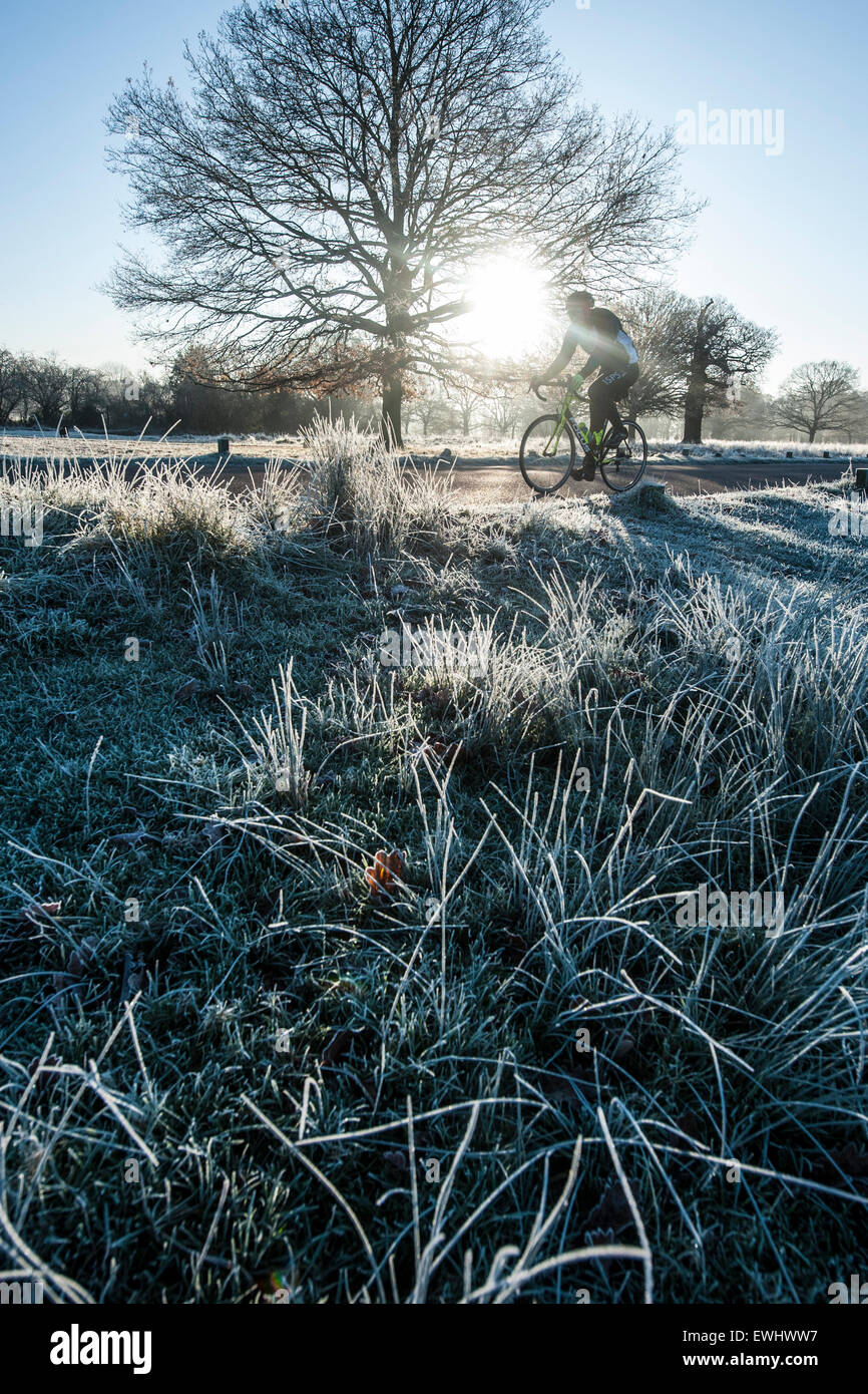 Frosty, cold cycle ride Stock Photo Alamy