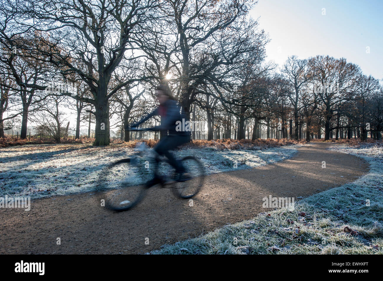 Frosty, cold cycle ride Stock Photo Alamy