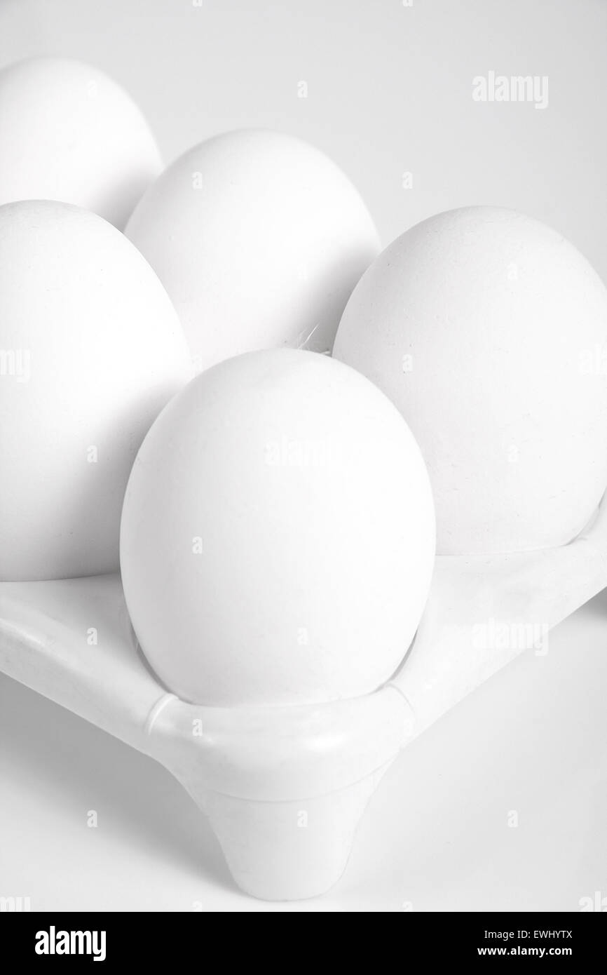 white egg with carton isolate in white background Stock Photo - Alamy