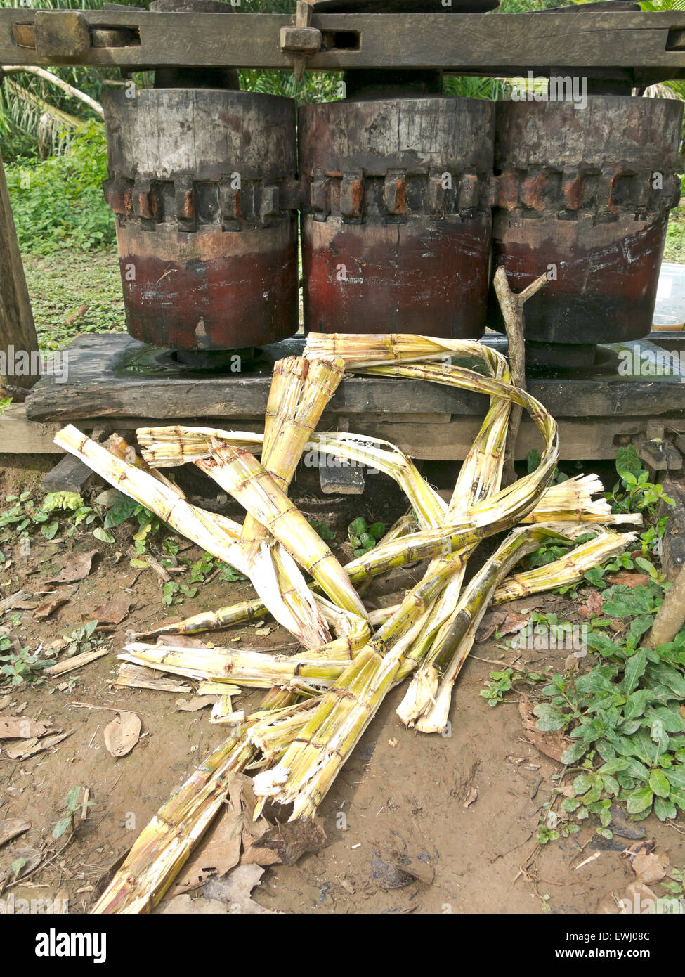Old trapiche squeeze sugarcane bolivian hires stock photography and