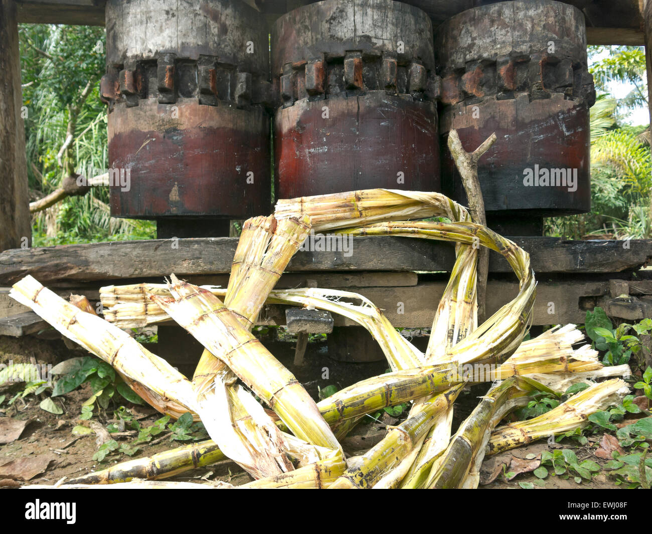Old trapiche to squeeze sugarcane. Bolivian tropics Stock Photo Alamy