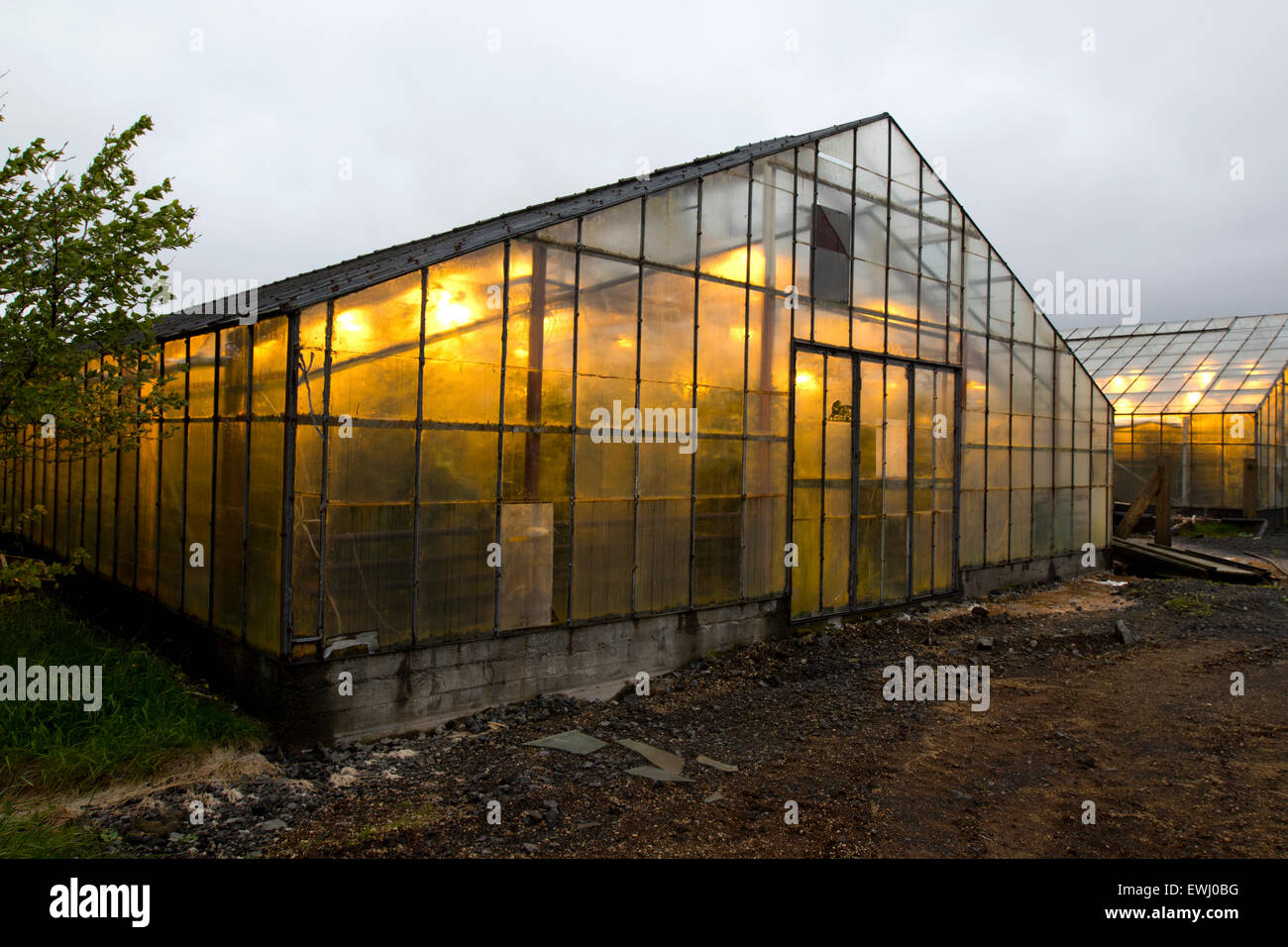 illuminated greenhouses heated by geothermal energy for growing tomatoes Hveragerdi iceland Stock Photo