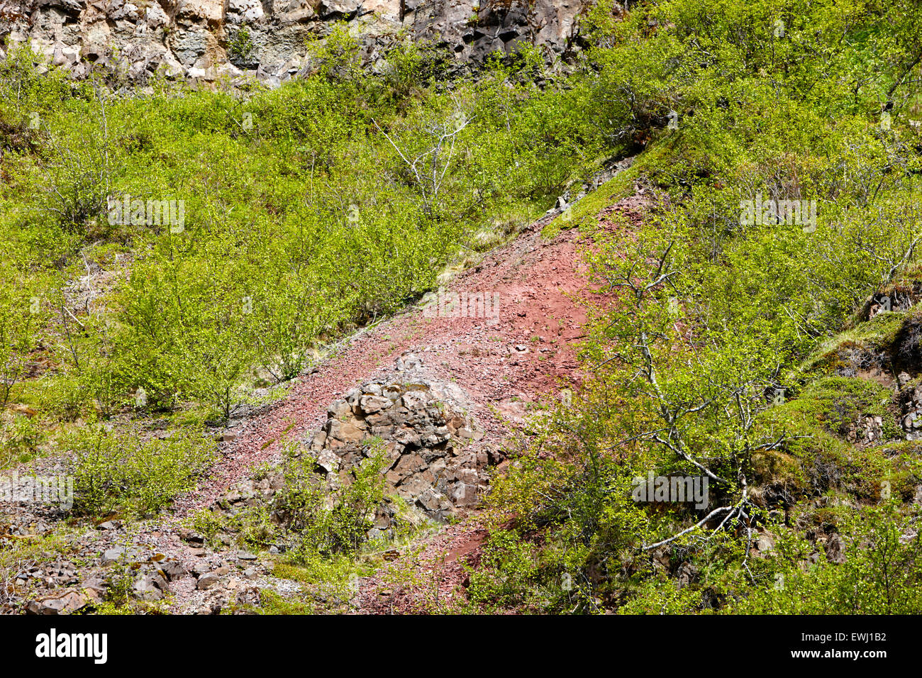 red stratum layer iron oxidisation soil Iceland Stock Photo