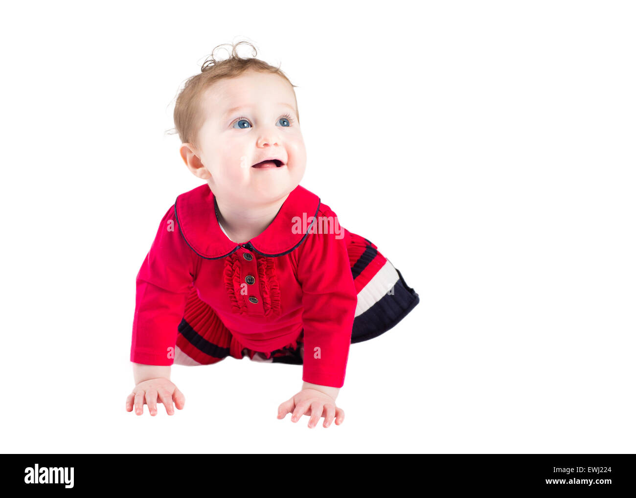Beautiful baby girl in an elegant red dress learning to crawl, isolated