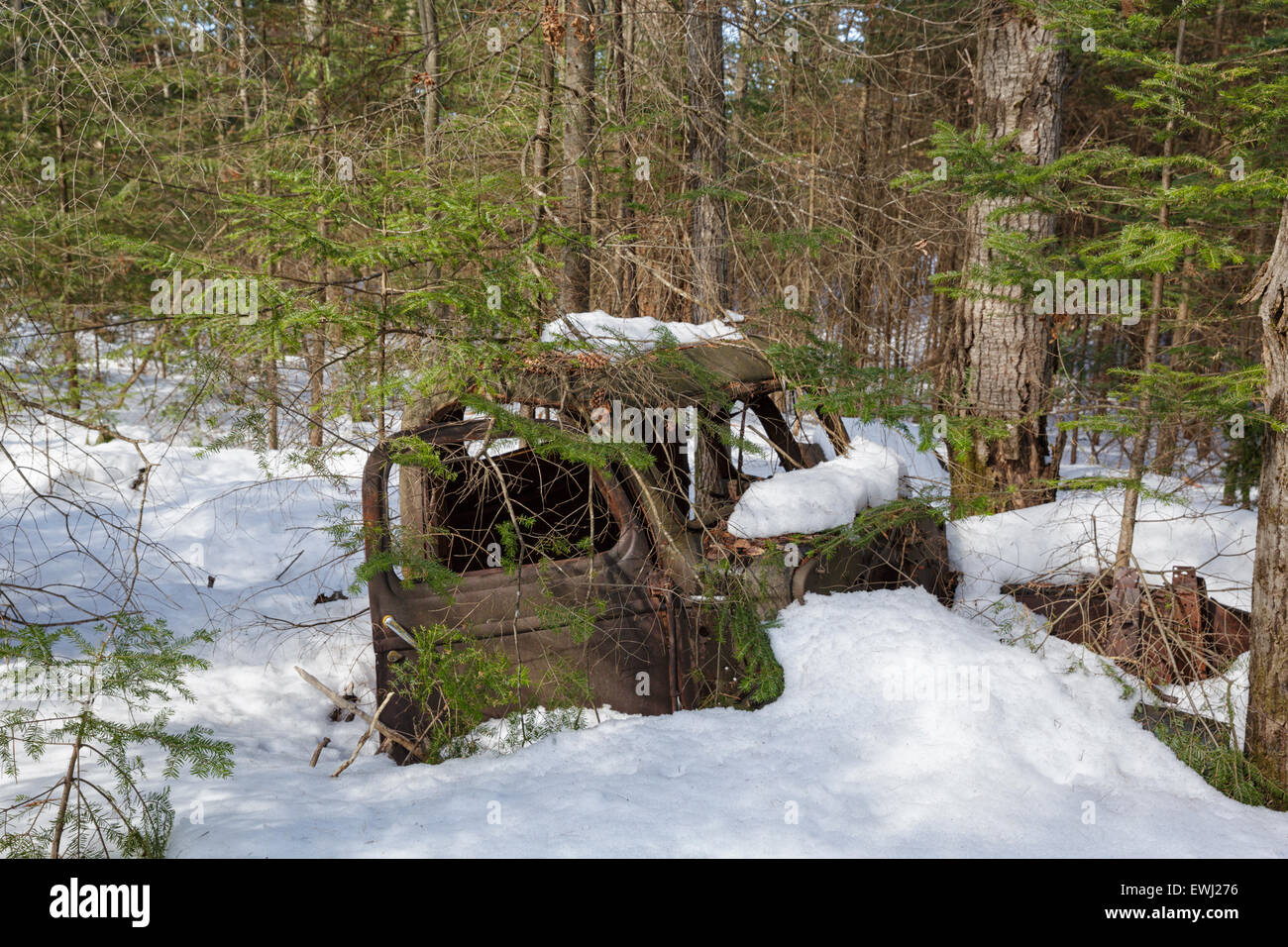 Abandoned truck in forest of Franconia, New Hampshire USA during the