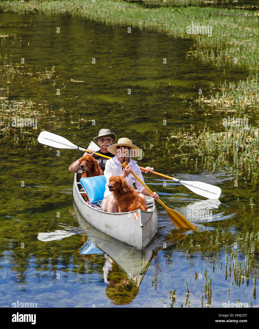 Couple share canoe with retrievers in Twin Lakes in the Mammoth Lakes
