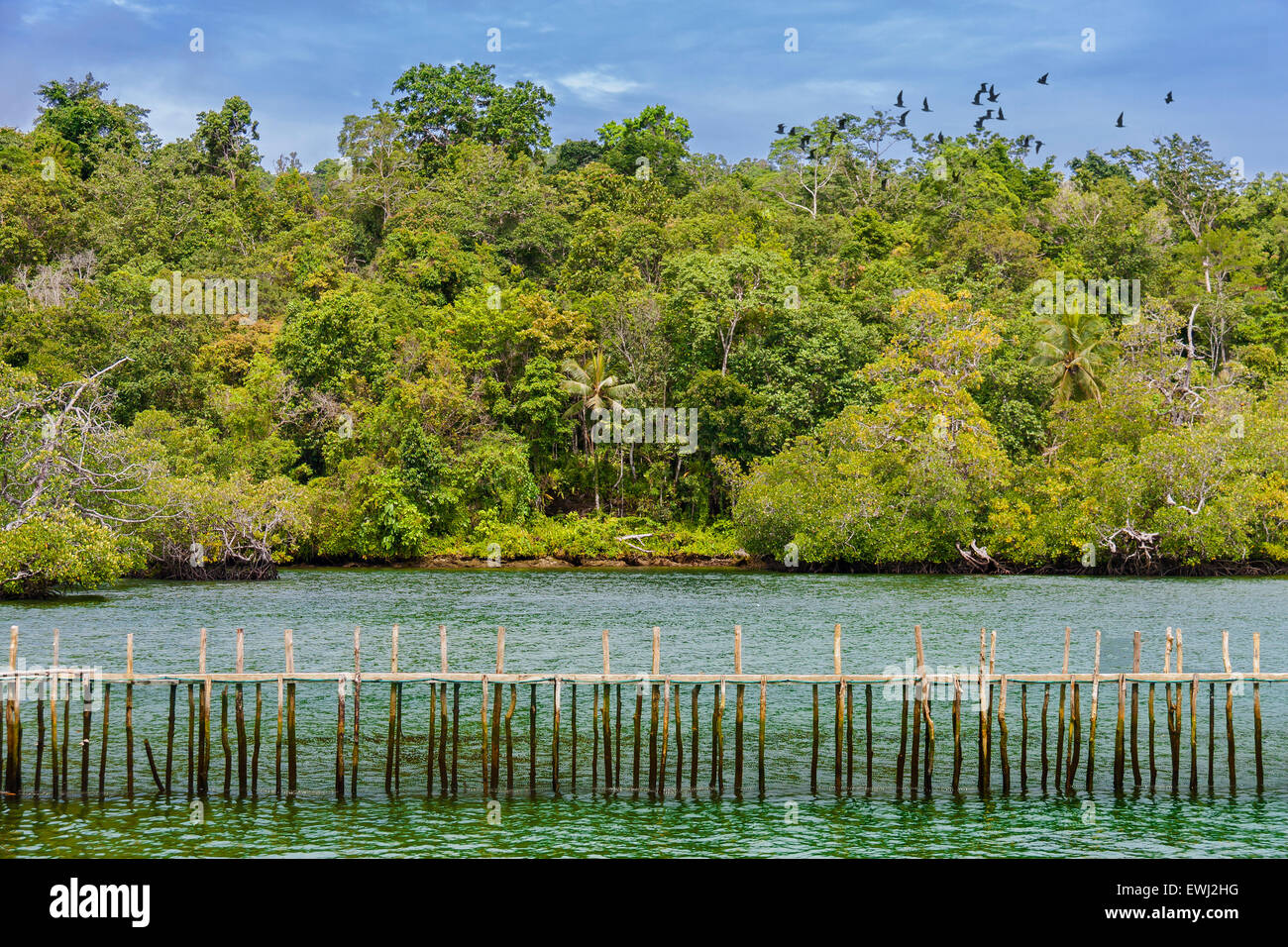 Tropic climate hi-res stock photography and images - Alamy