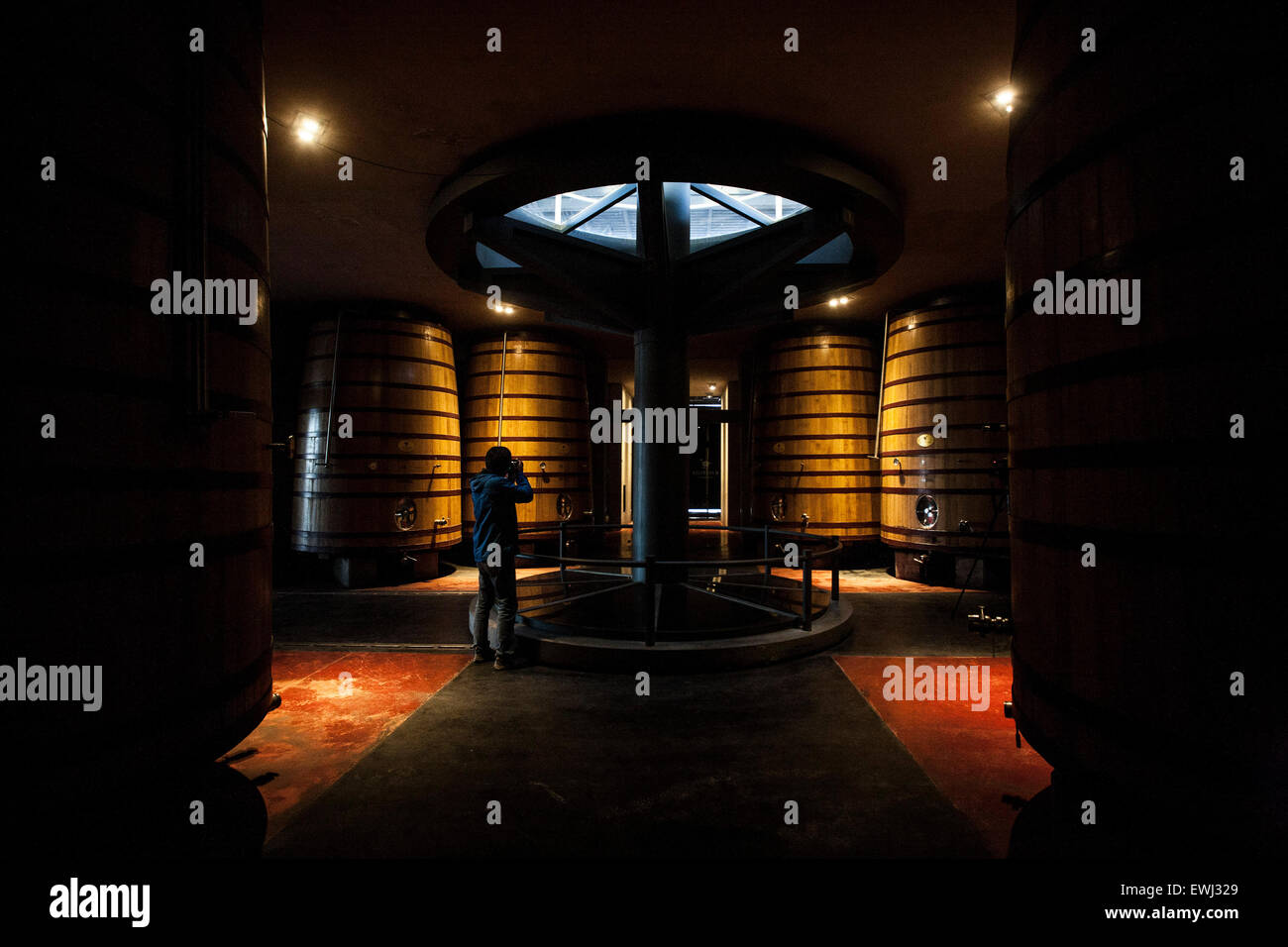Mendoza. 24th June, 2015. Image taken on June 24, 2015 shows a visitor taking a photograph in the O. Fournier Winery, in La Consulta city, Mendoza province, 1,170km away of Buenos Aires city, Argentina. © Martin Zabala/Xinhua/Alamy Live News Stock Photo
