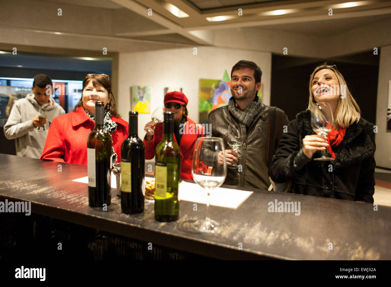 Mendoza. 25th June, 2015. Image taken on June 25, 2015 shows visitors taking part in a wine tasting in the tasting room of the O. Fournier Winery, in La Consulta city, Mendoza province, 1,170km away of Buenos Aires city, Argentina. © Martin Zabala/Xinhua/Alamy Live News Stock Photo