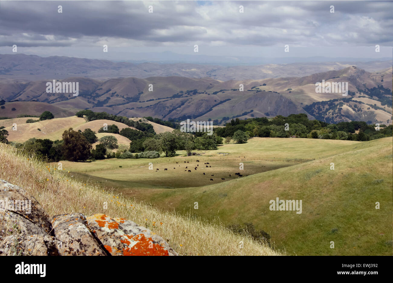 Sunol Regional Wilderness near Pleasanton, Alameda County, California
