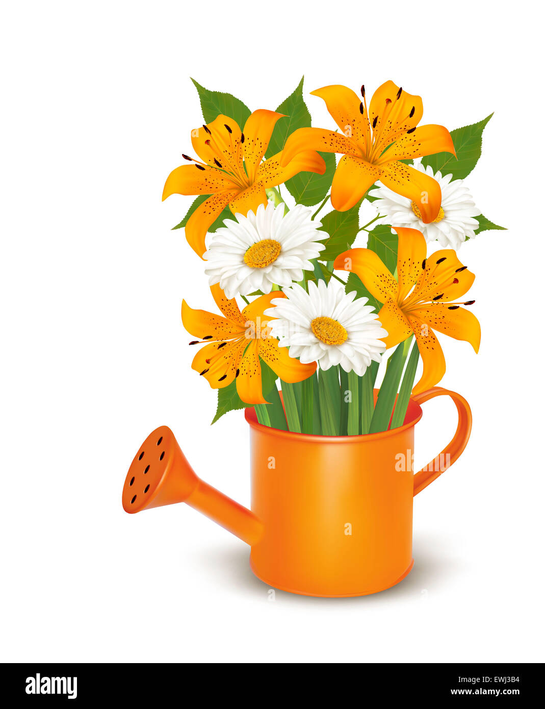 Watering can with a bouquet of flowers. Vector Stock Photo - Alamy