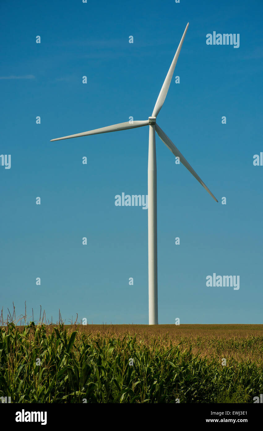 Windmills dot Midwest farm fields to generate green electric power in the United States. Stock Photo