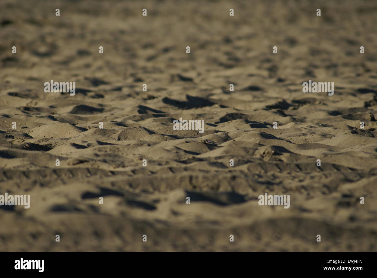 Sand at the beach Stock Photo Alamy