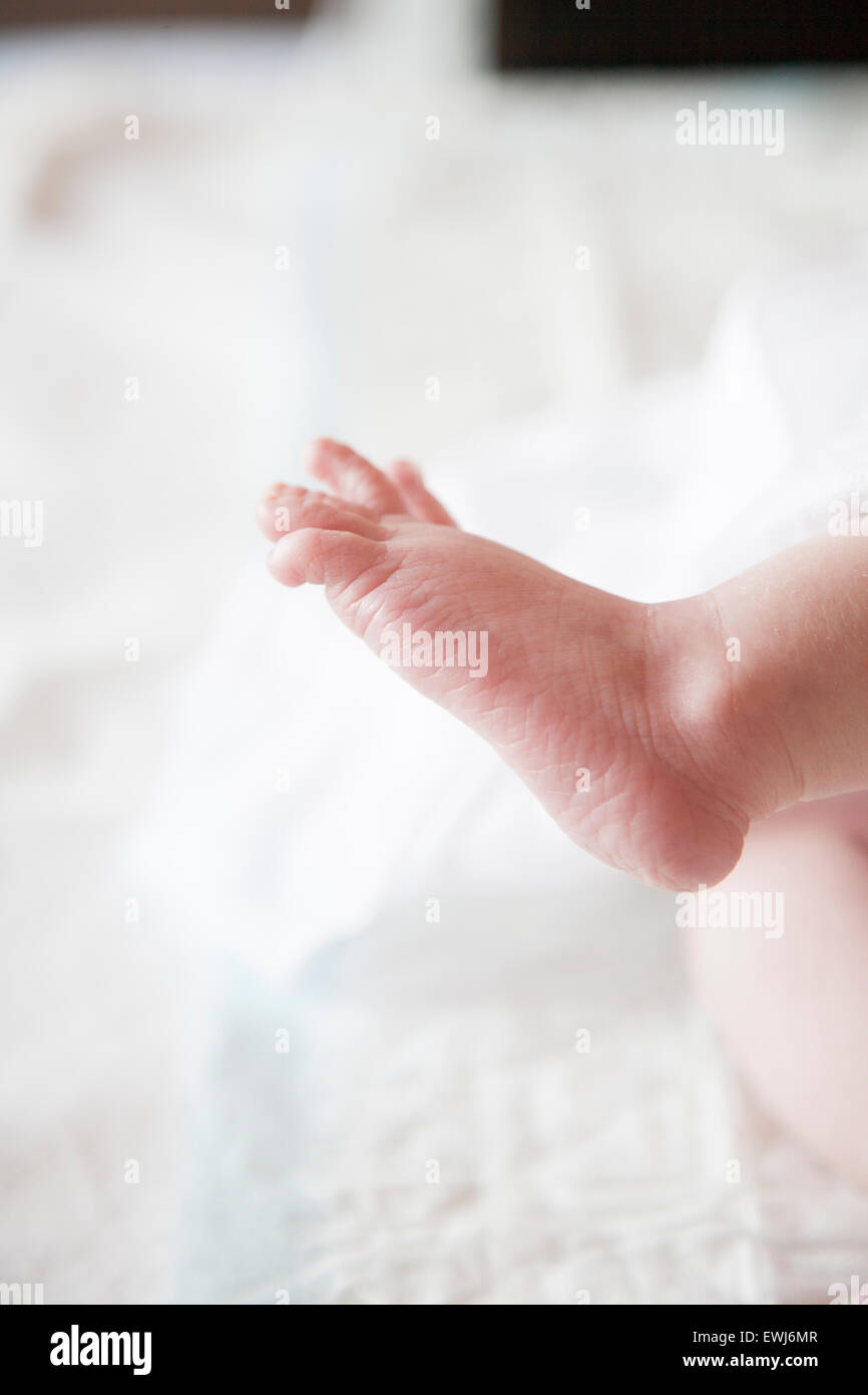 closeup fingers foot of twelve days age baby over white bedcover Stock Photo