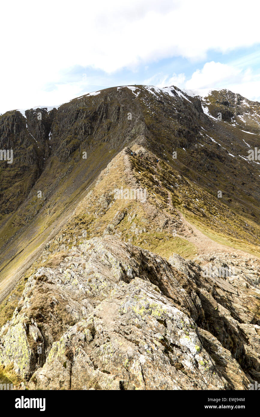 Striding Edge arete and Helvellyn mountain peak, Lake District, Cumbria
