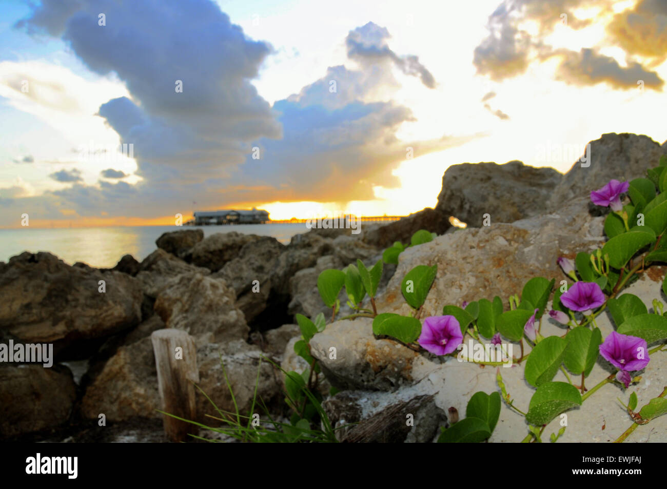 Anna Maria Island, Florida, USA. 27th June, 2015. Twilight and Sunrise