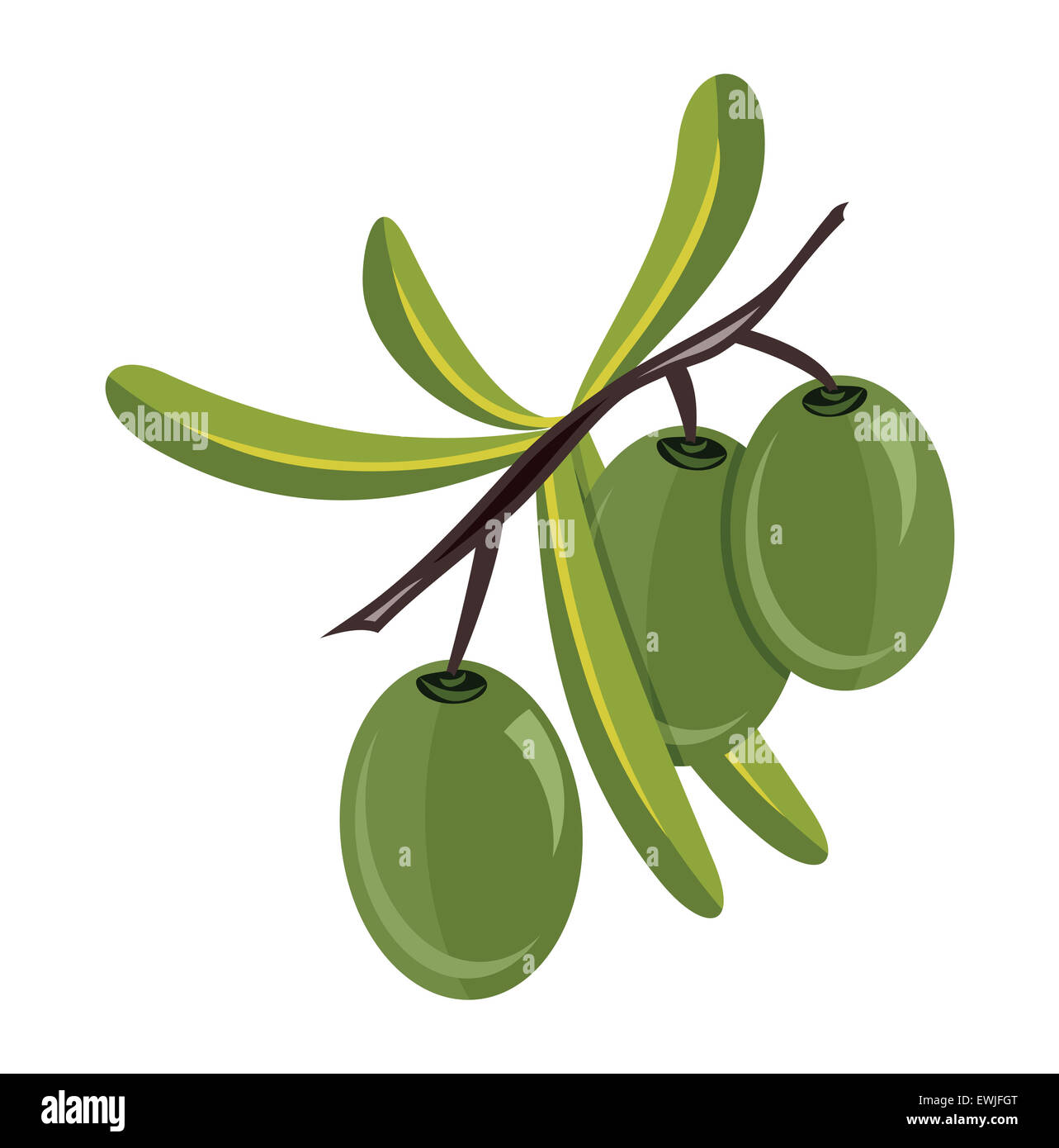 Olive organic Cut Out Stock Images & Pictures - Alamy