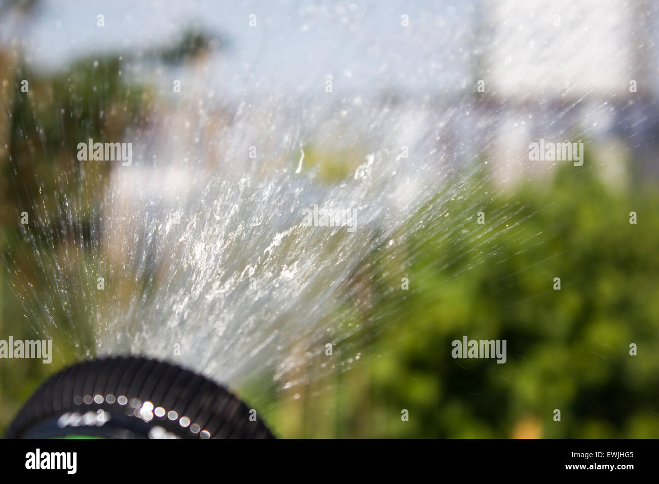 Watering lawn grass with a shower sprayer head Stock Photo Alamy