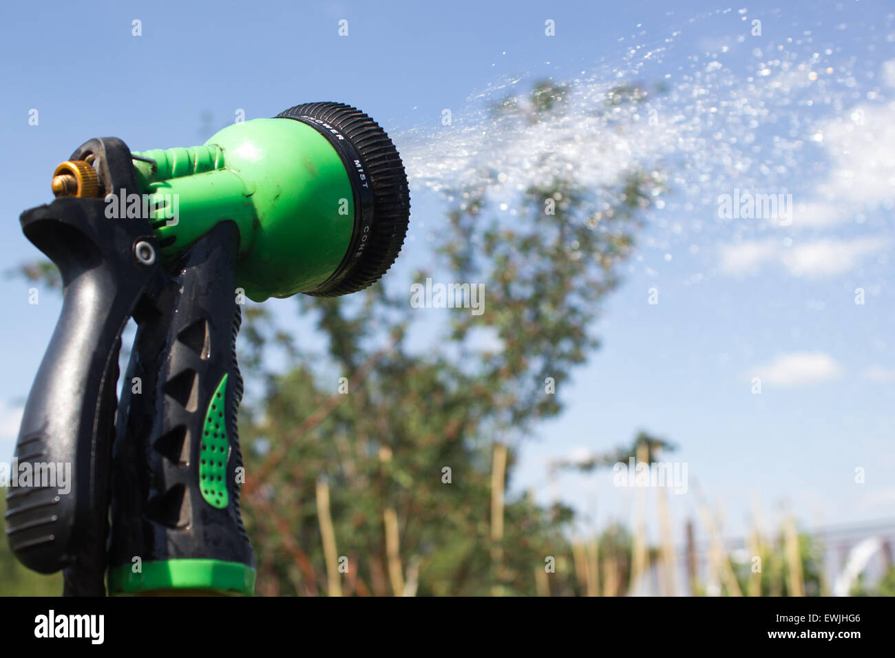 Watering lawn grass with a shower sprayer head Stock Photo Alamy