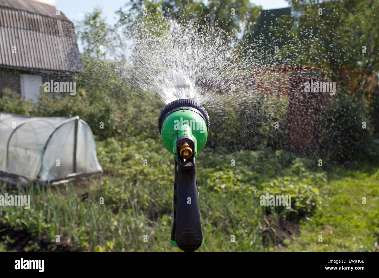 Watering lawn grass with a shower sprayer head Stock Photo Alamy
