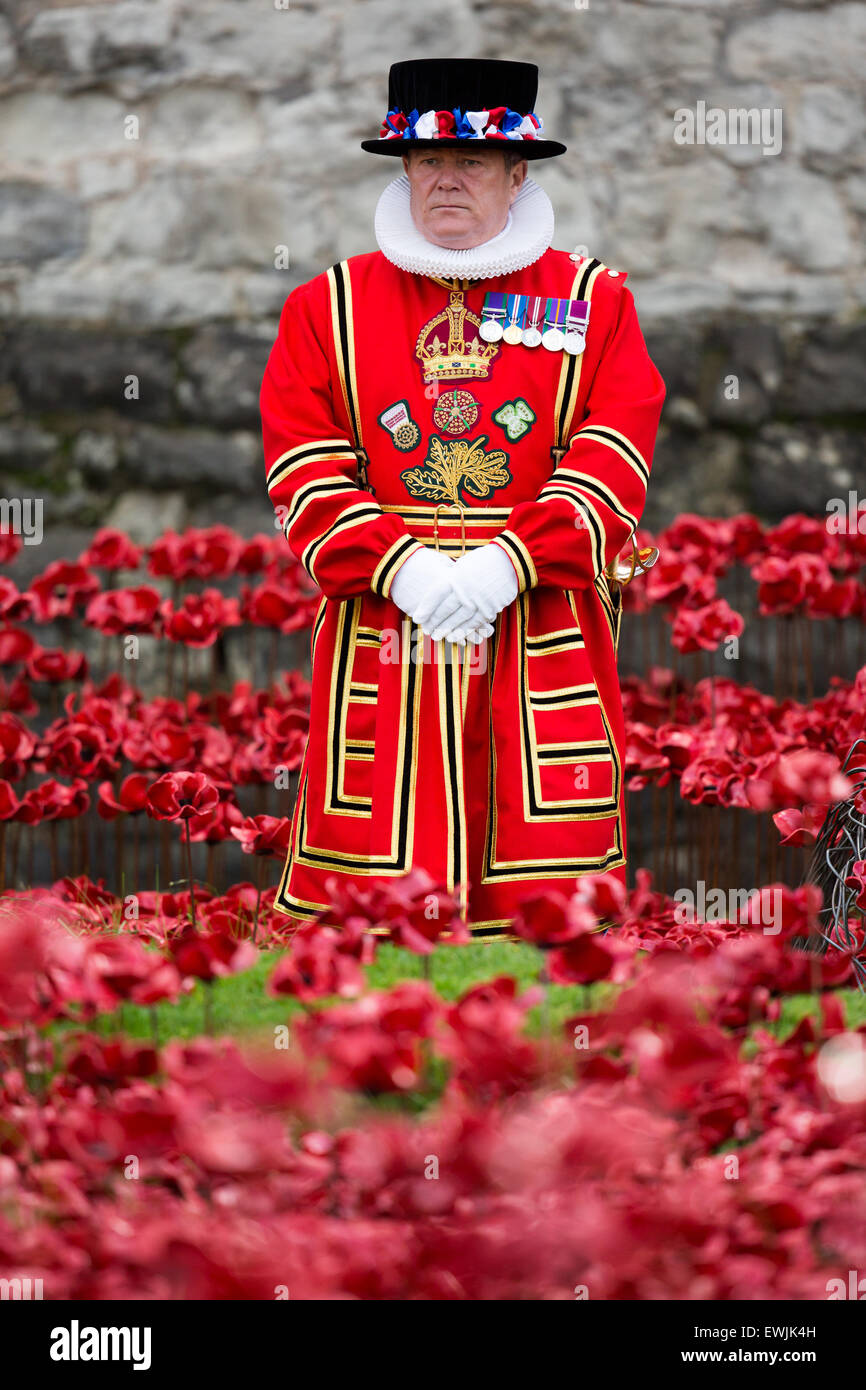 A Yeoman of the Guard stands in the field of ceramic poppies in the moat of the Tower of London. Stock Photo