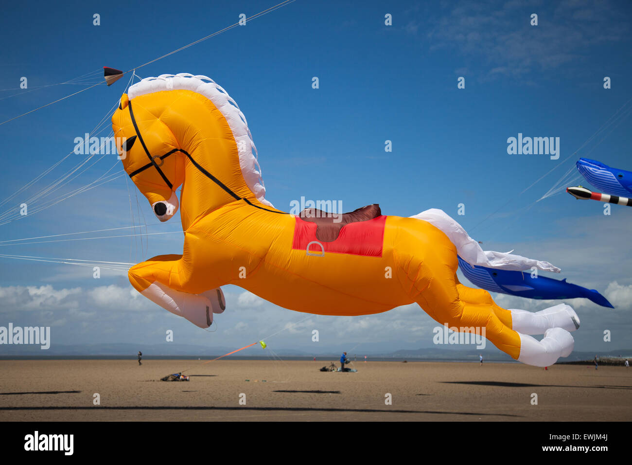 Horse Kites High Resolution Stock Photography and Images Alamy