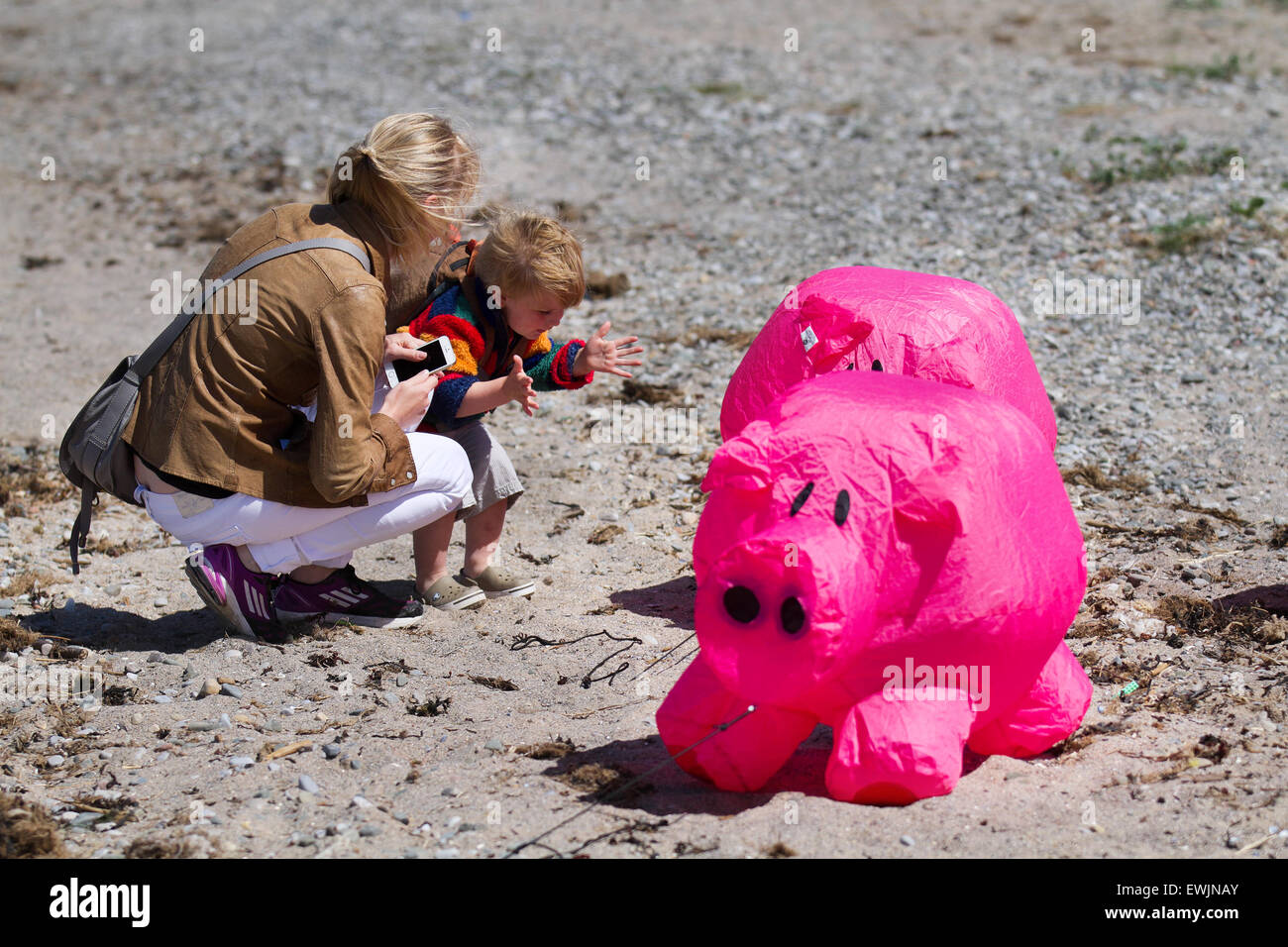 Pink cartoon colours hi-res stock photography and images - Alamy
