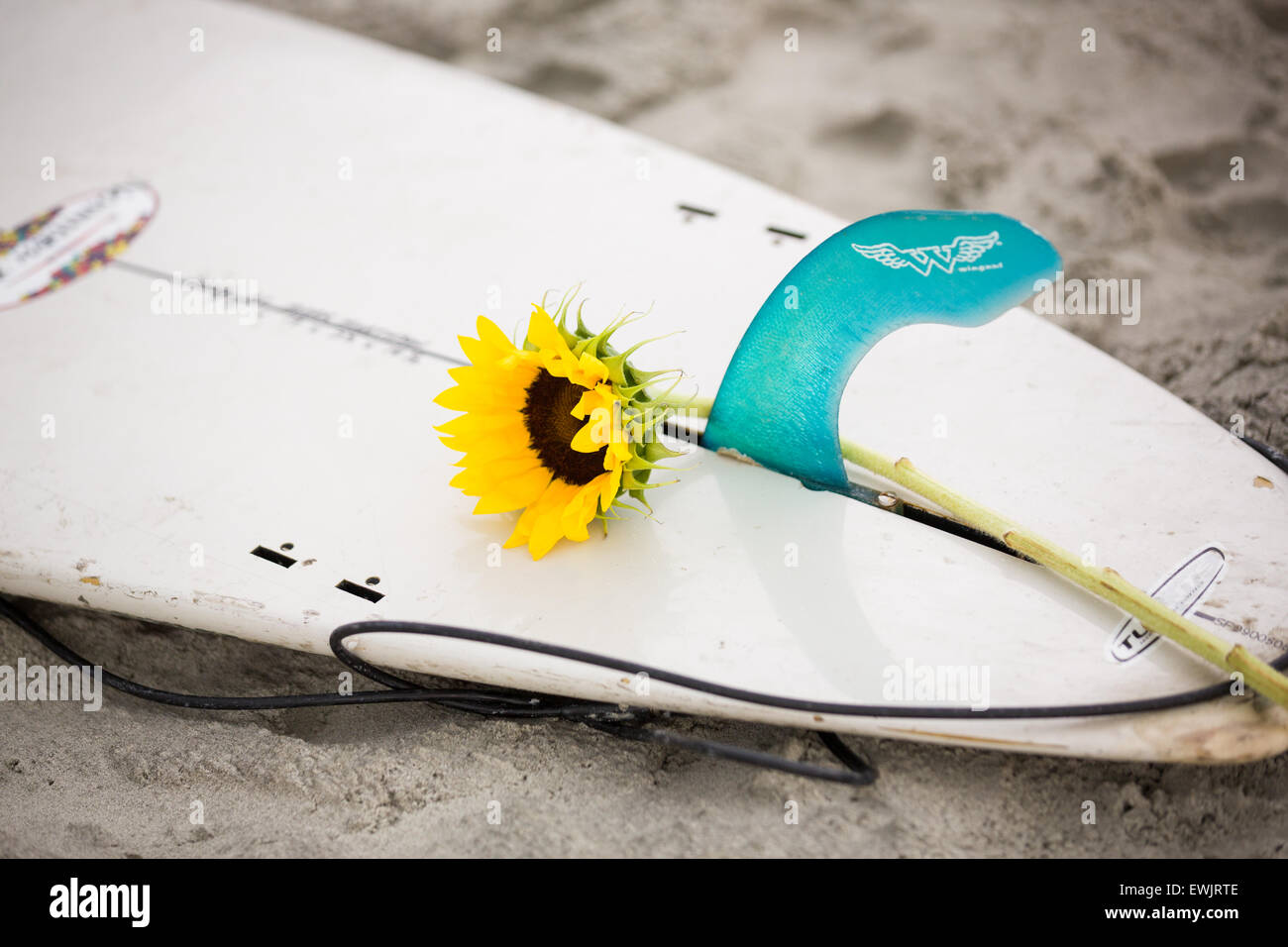 Folly beach, South Carolina, USA. 27th June, 2015. A flower sits on a surfboard as Charleston area surfers gather for a traditional memorial paddle out to honor and remember the nine people killed at the historic mother Emanuel African Methodist Episcopal Church June 27, 2015 in Folly Beach, South Carolina. Earlier in the week a white supremacist gunman killed 9 members at the historically black church. Stock Photo