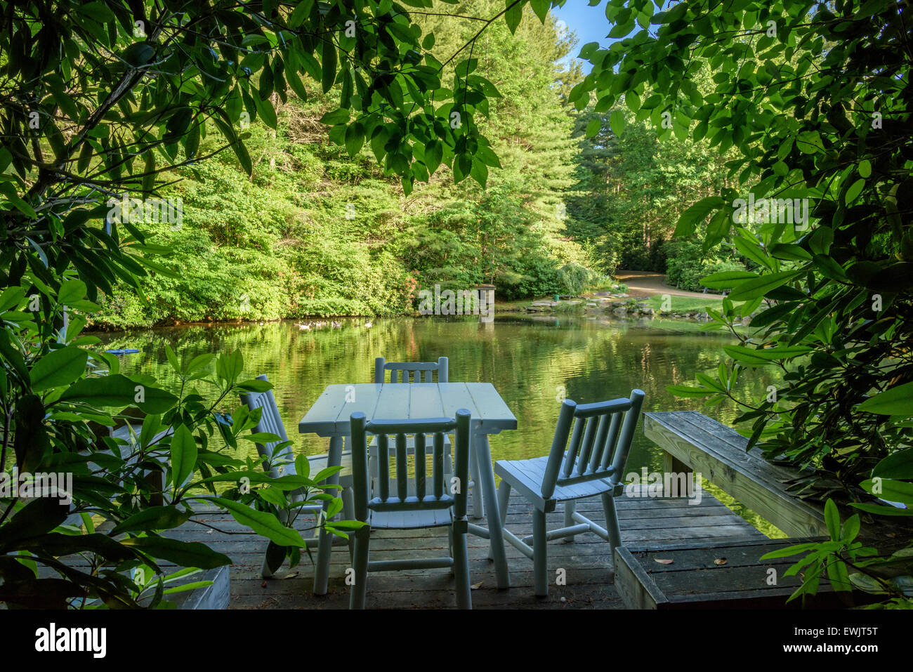 Reflecting pond on North Carolina estate. Stock Photo