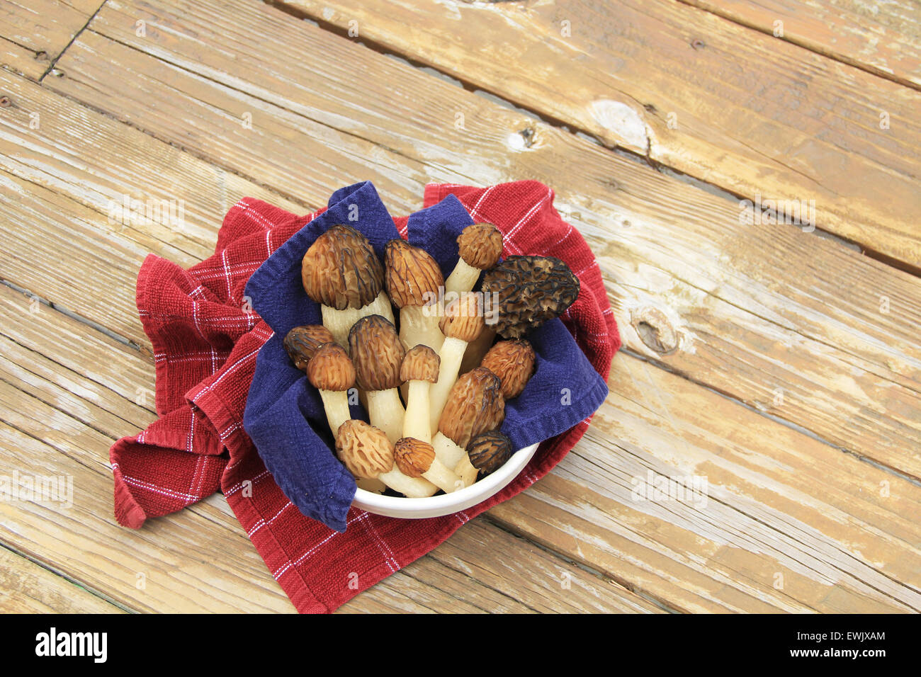 Wild Morel Mushrooms in a Crock with Towels Stock Photo