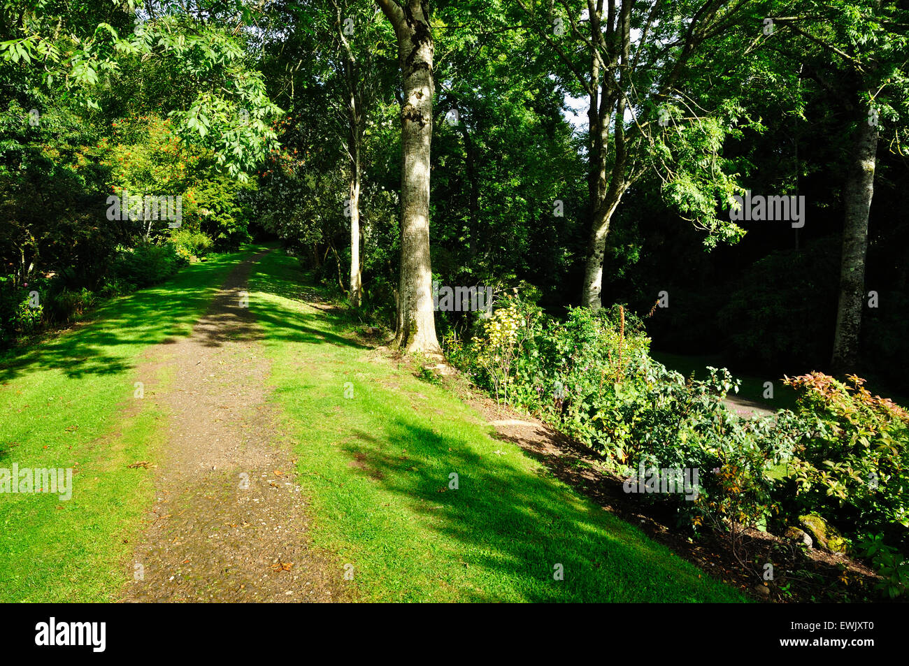 Downhill Demesne walk. Northern Ireland. United Kingdom. UK Stock Photo