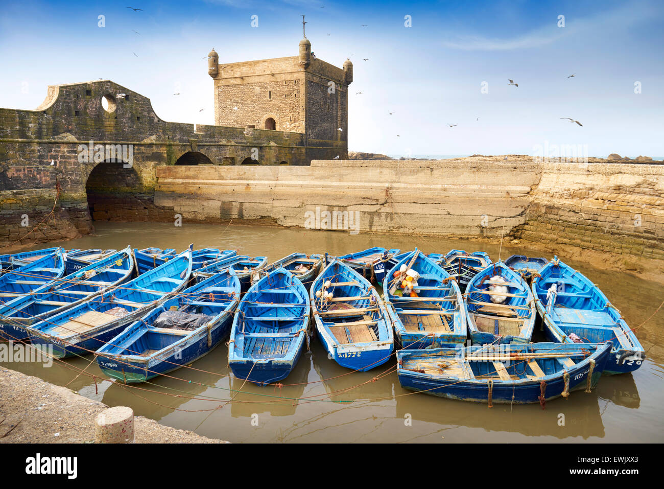 Blue fishing boats in the harbour of Essaouira, Morocco Stock Photo