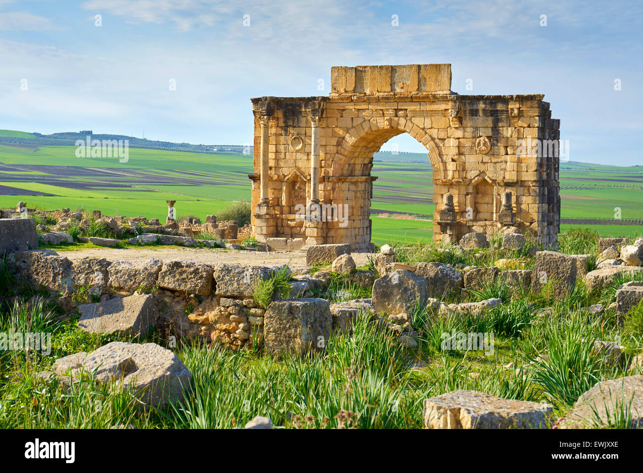 Roman ruins of Volubilis near Meknes, Decumanus Maximus, UNESCO, Morocco, Africa Stock Photo