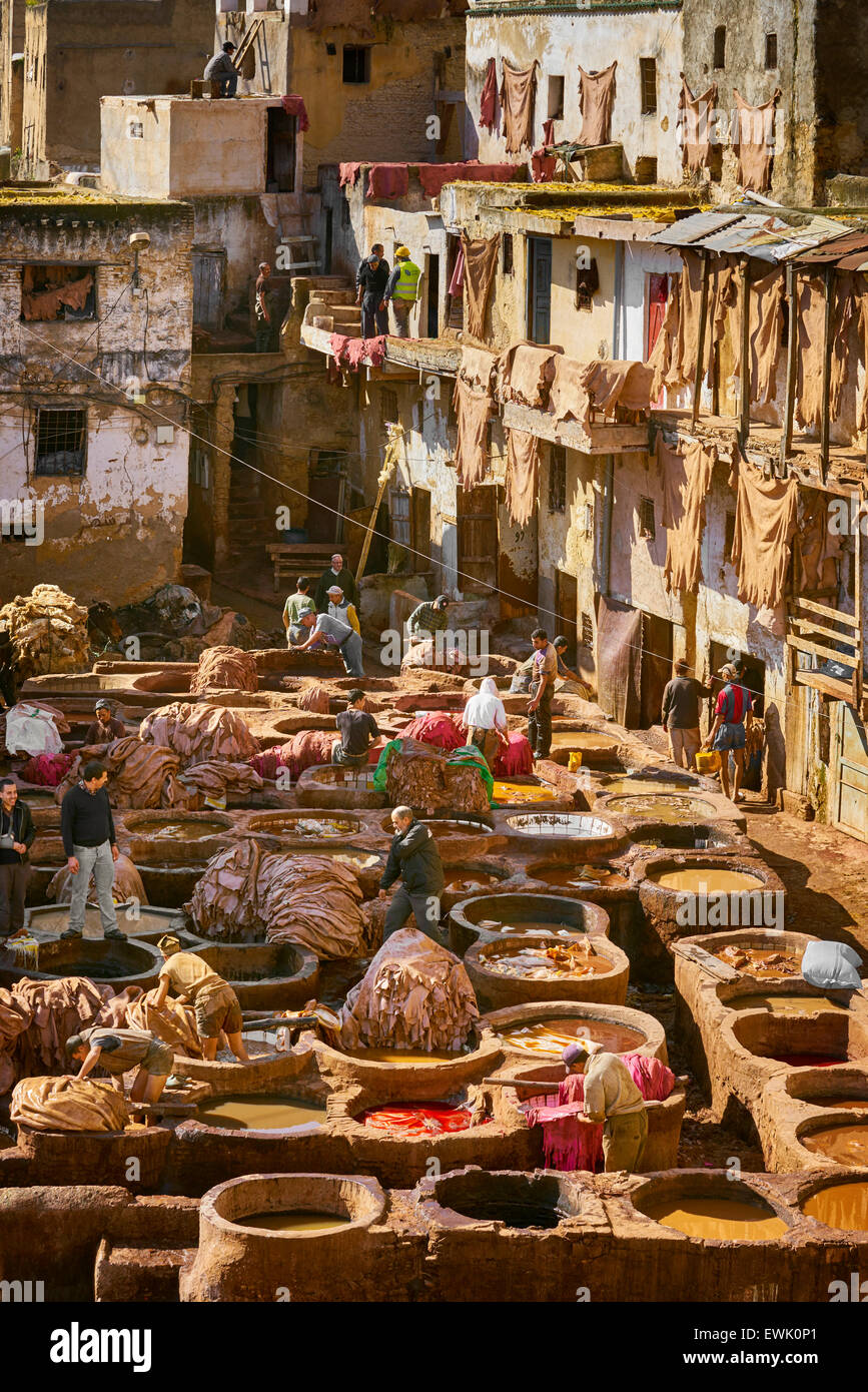 Leather Chouwara Tannery, Fez Medina, Morocco, Africa Stock Photo