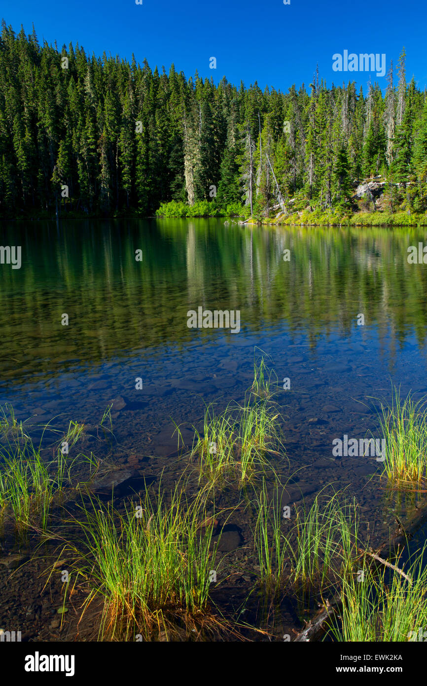 Lower Lake, Olallie Lake Scenic Area, Mt Hood National Forest, Oregon Stock Photo Alamy