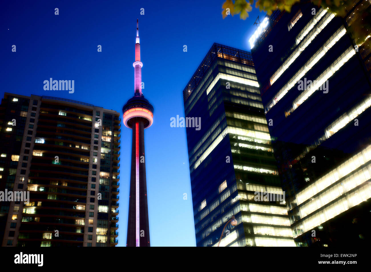 Night Photo Toronto City downtown urban tower Stock Photo