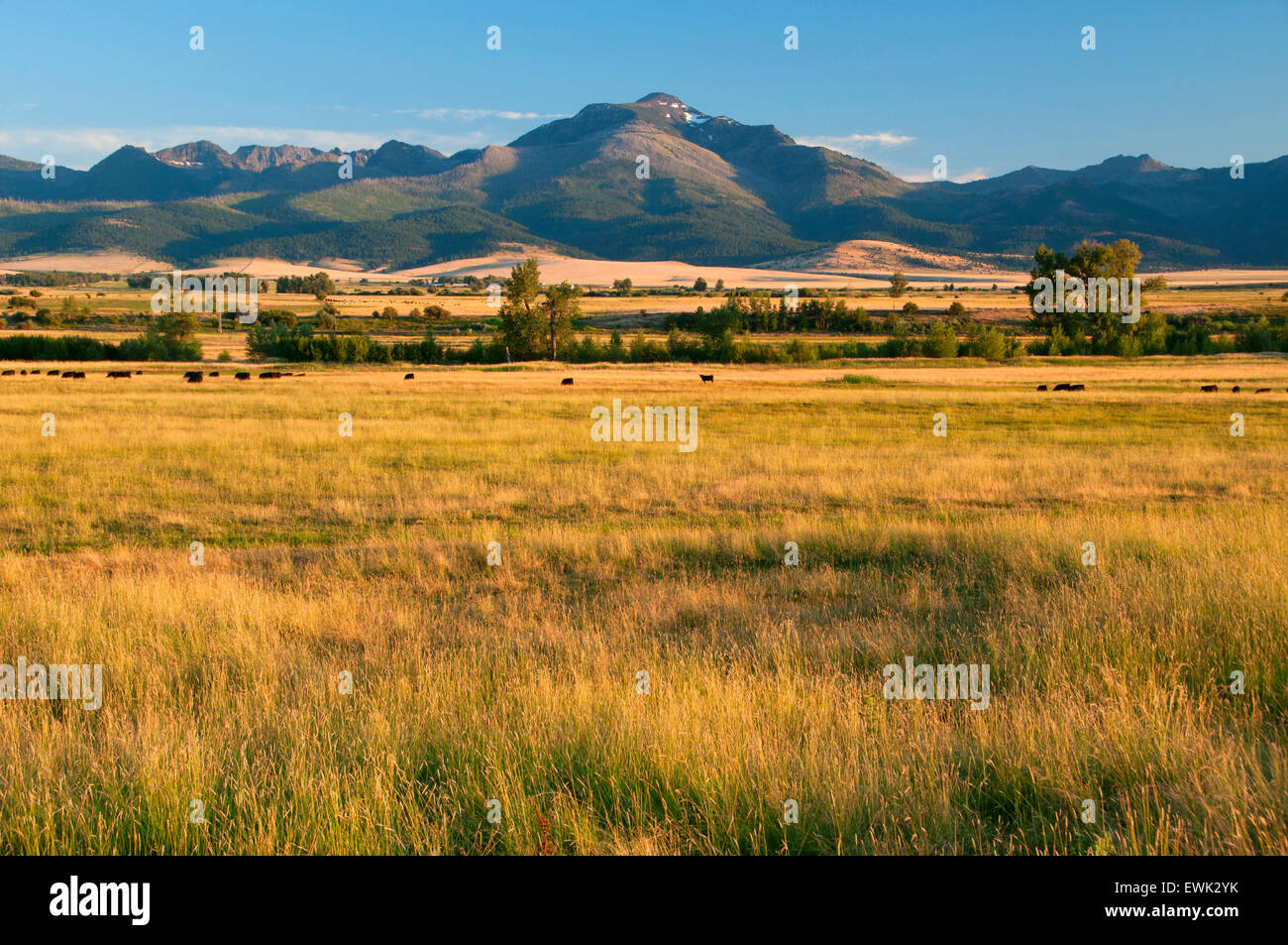 Strawberry Mountains across John Day Valley, Journey through Time National Scenic Byway, Grant