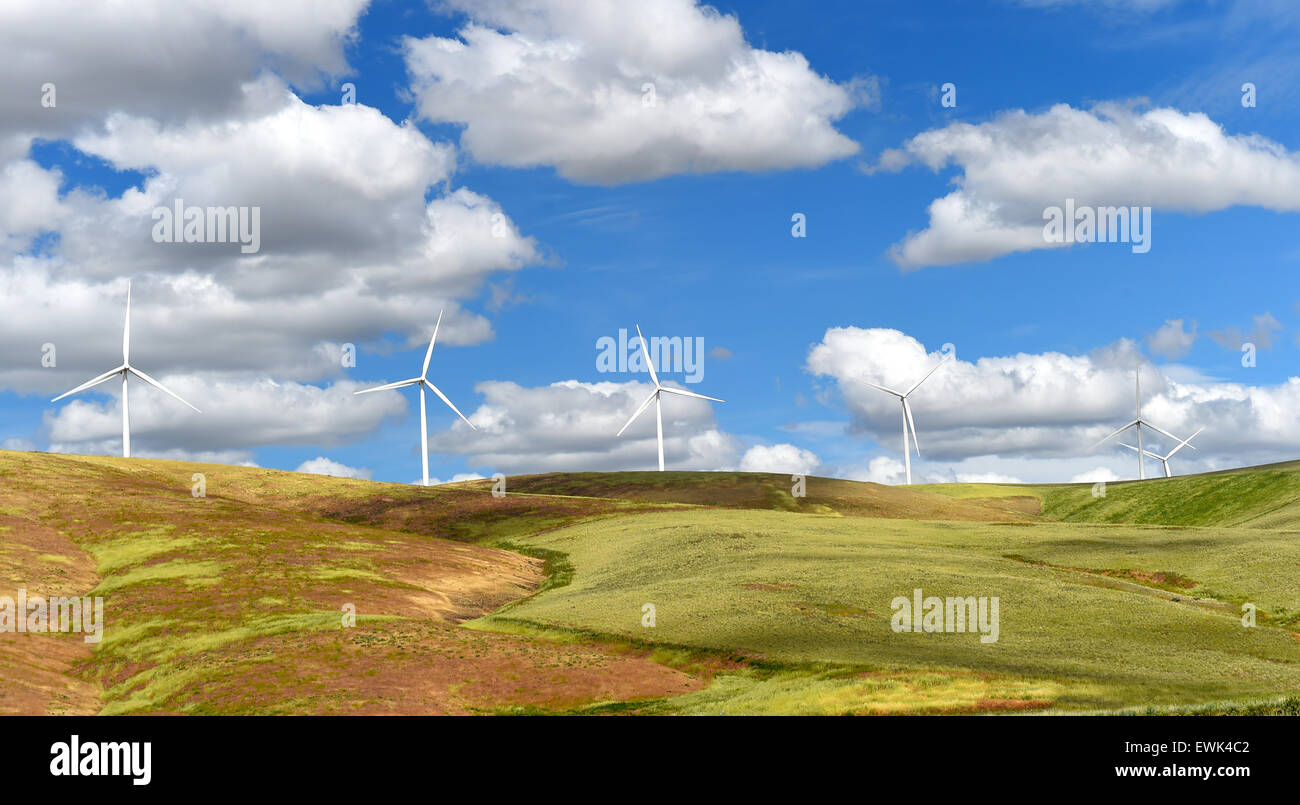 wind farm turbines on hill contrast green grass and blue sky, washington state, united states Stock Photo