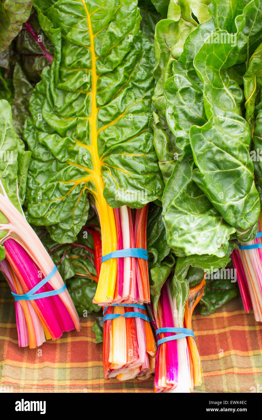 Sebastopol hires stock photography and images Alamy