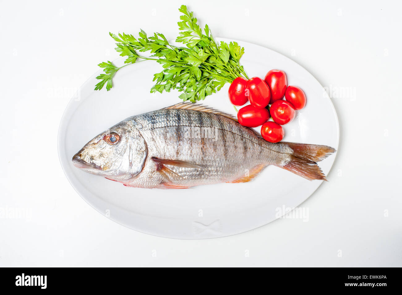 Fresh raw striped sea bream murmurs with parsley and tomatoes on white plate and white background Stock Photo