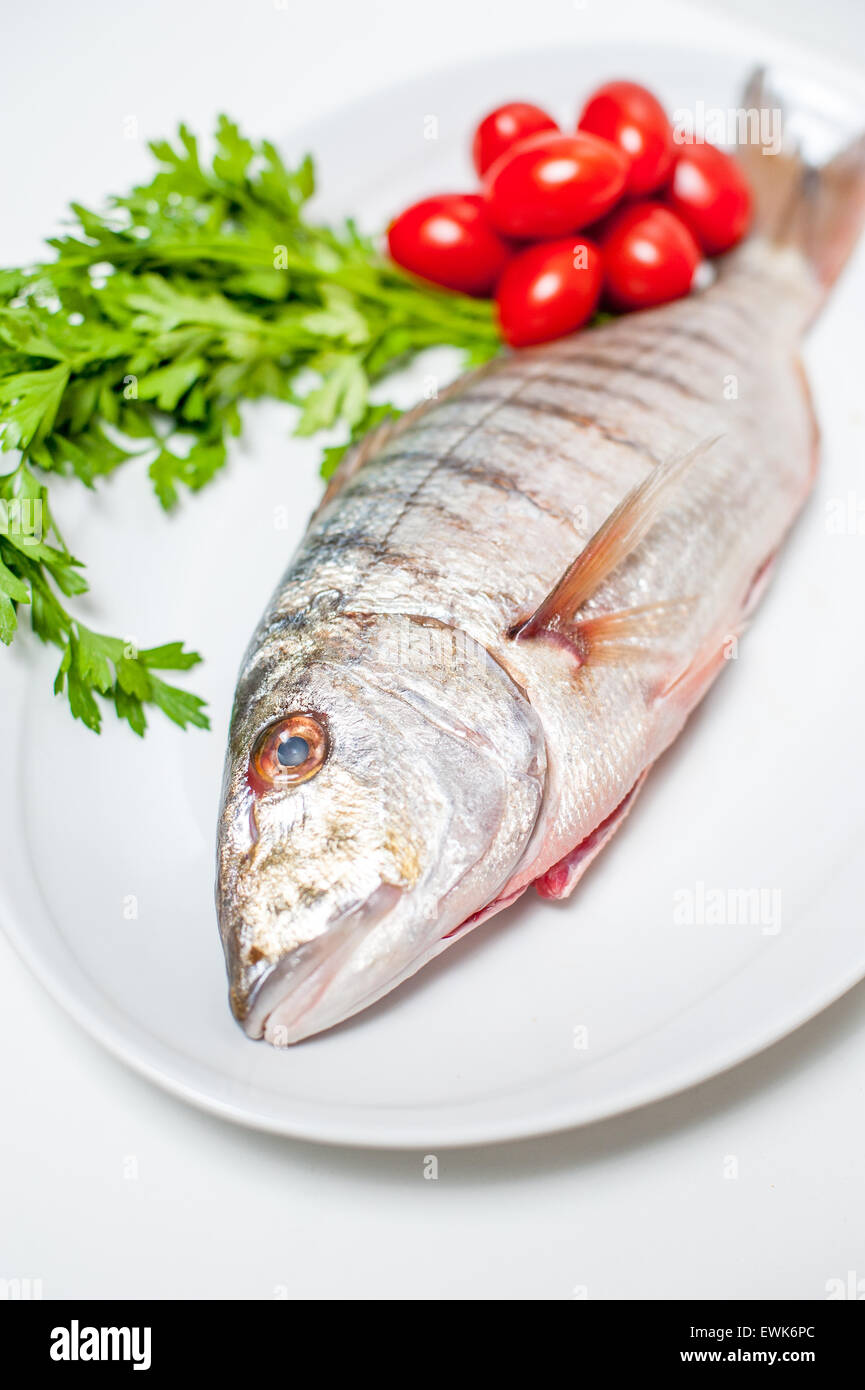 Fresh raw striped sea bream murmurs on white plate with out of focus parsley and tomatoes in background Stock Photo