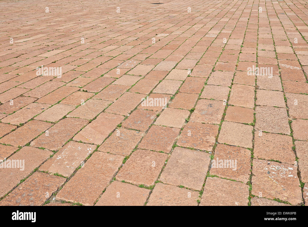 Block paving pattern. Paved with stones with weeds between bricks Stock
